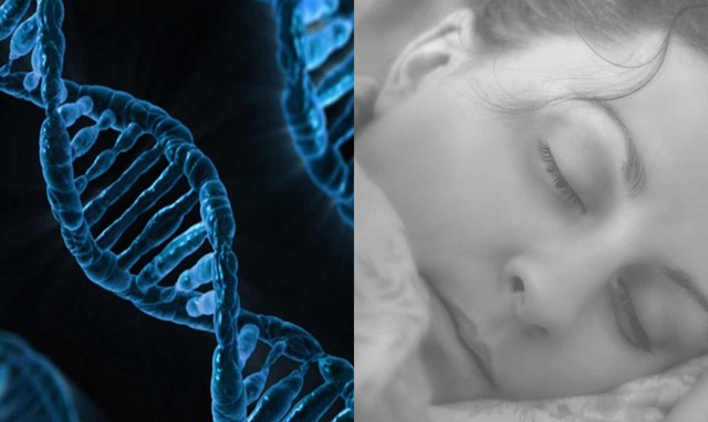 Các nhà khoa học đã phát hiện ra gen siêu năng lực, và những 'siêu nhân' có khả năng sẽ trở thành hiện thực trong tương lai!- Ảnh 1. Các nhà khoa học đã phát hiện ra gen siêu năng lực, và những 'siêu nhân' có khả năng sẽ trở thành hiện thực trong tương lai!- Ảnh 1.