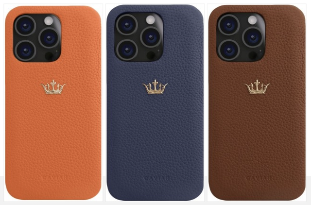 Chiếc ốp lưng này cho iPhone 15 Pro Max có giá còn đắt hơn cả iPhone 15 Pro Max- Ảnh 2.