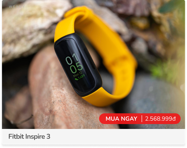 New York Times chấm điểm 3 vòng tay và đồng hồ thông minh tốt nhất năm: Fitbit dẫn đầu, Apple Watch nhận “vé vớt”- Ảnh 1. New York Times chấm điểm 3 vòng tay và đồng hồ thông minh tốt nhất năm: Fitbit dẫn đầu, Apple Watch nhận “vé vớt”- Ảnh 1.