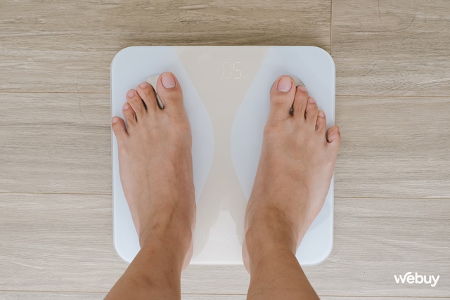 Dùng thử cân Mocato Elite Fit2: Giá hơn 500.000 đồng có gì hay hơn "cân quốc dân" Xiaomi?- Ảnh 15. Dùng thử cân Mocato Elite Fit2: Giá hơn 500.000 đồng có gì hay hơn "cân quốc dân" Xiaomi?- Ảnh 15.