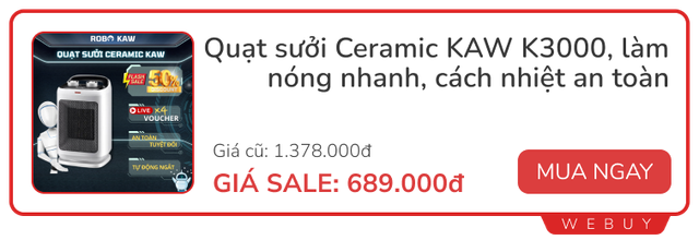 Deal máy sưởi ngon - bổ - rẻ, có loại giảm sâu đến 74% đúng dịp miền Bắc lạnh đỉnh điểm- Ảnh 1.