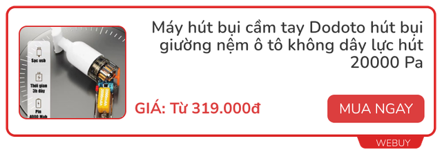 Đại hội lau tràng kỷ lại đến, cư dân mạng ồ ạt khoe “tuyệt chiêu” lau dọn thần tốc bằng 3 công cụ này- Ảnh 8.