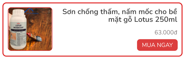 Mới 2 tháng đầu năm đã nồm ẩm liên miên, kiểm tra ngay xem những vị trí này trong nhà đã lên mốc chưa- Ảnh 10.