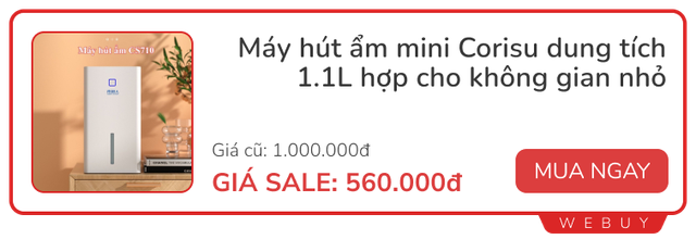 Loạt “bảo bối” chống Nồm đang giảm sâu 50%, tranh thủ sắm ngay vì còn cả tháng chờ phía trước- Ảnh 5.