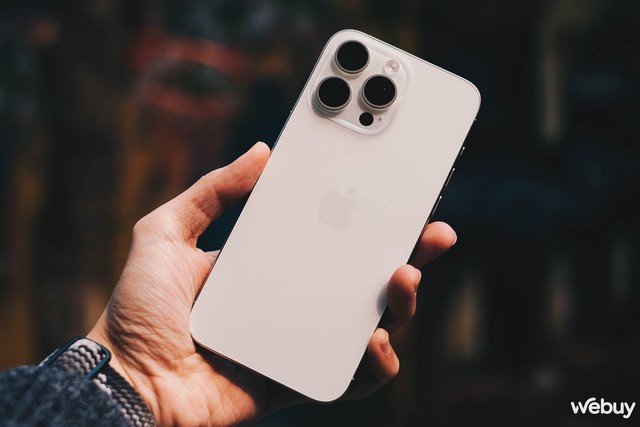 iPhone 15 Pro Max "max option" tràn về Việt Nam: Giá rẻ giật mình, nhưng cần lưu tâm những điều sau- Ảnh 4.