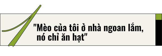 Mèo của bạn ở nhà ngoan lắm, nhưng một khi lẻn được ra ngoài, chúng sẽ trở thành nỗi khiếp sợ của hệ sinh thái- Ảnh 3.