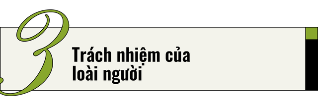 Mèo của bạn ở nhà ngoan lắm, nhưng một khi lẻn được ra ngoài, chúng sẽ trở thành nỗi khiếp sợ của hệ sinh thái- Ảnh 13.
