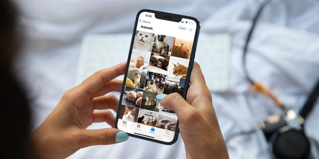 iOS 17.5 gặp lỗi đáng lo ngại: Ảnh trên iPhone đã xóa từ cách đây nhiều năm bất ngờ xuất hiện trở lại- Ảnh 1. iOS 17.5 gặp lỗi đáng lo ngại: Ảnh trên iPhone đã xóa từ cách đây nhiều năm bất ngờ xuất hiện trở lại- Ảnh 1.