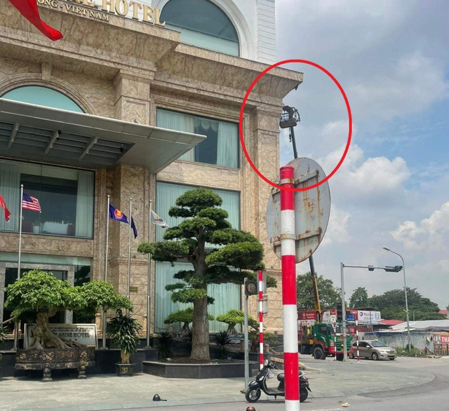 Vụ ong đốt người ở Hải Phòng: Tuyệt đối đừng la hét, đừng xua tay, chuyên gia nói bạn chỉ nên làm duy nhất một điều này- Ảnh 4.