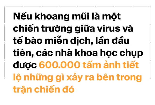 Thí nghiệm lịch sử với COVID: 36 người được trả hơn 5 tỷ đồng để nhỏ virus có độc lực vào mũi. Nếu là bạn, bạn có dám thử không?- Ảnh 4.