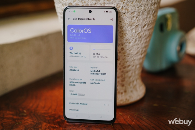 Đánh giá Reno 12 F 5G: AI nhiếp ảnh từ OPPO, nhưng giá rẻ hơn- Ảnh 27. Đánh giá Reno 12 F 5G: AI nhiếp ảnh từ OPPO, nhưng giá rẻ hơn- Ảnh 27.