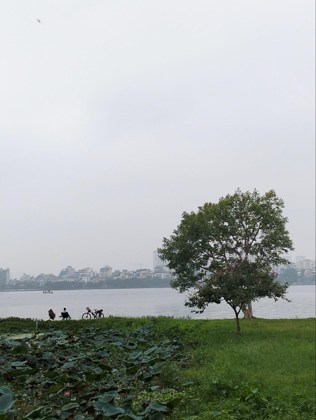 Đánh giá OPPO A3 - smartphone siêu bền, giá siêu "hời" nhưng vẫn có sạc nhanh 45W, thiết kế đẹp- Ảnh 18. Đánh giá OPPO A3 - smartphone siêu bền, giá siêu "hời" nhưng vẫn có sạc nhanh 45W, thiết kế đẹp- Ảnh 18.