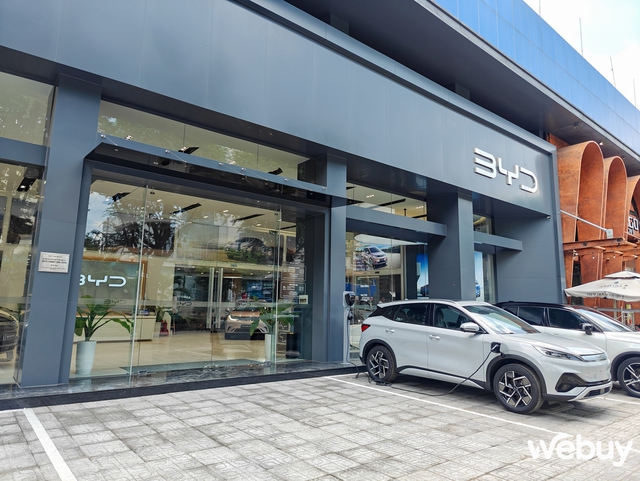 Không ngừng hô khẩu hiệu “Chúng tôi là số 1” nhưng BYD đang gặp khó tại Việt Nam- Ảnh 5. Không ngừng hô khẩu hiệu “Chúng tôi là số 1” nhưng BYD đang gặp khó tại Việt Nam- Ảnh 5.