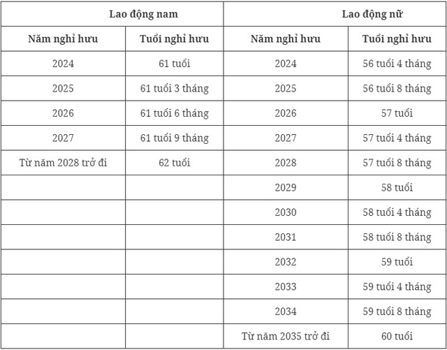 Năm nay, người lao động bao nhiêu tuổi sẽ được nghỉ hưu?- Ảnh 1.