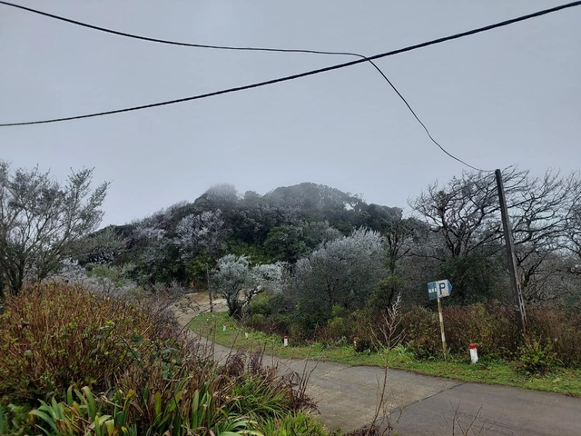 Ngay lúc này, băng giá đang phủ kín đỉnh núi cách Hà Nội hơn 200km, nhiệt độ xuống -5 độ C- Ảnh 3. Ngay lúc này, băng giá đang phủ kín đỉnh núi cách Hà Nội hơn 200km, nhiệt độ xuống -5 độ C- Ảnh 3.