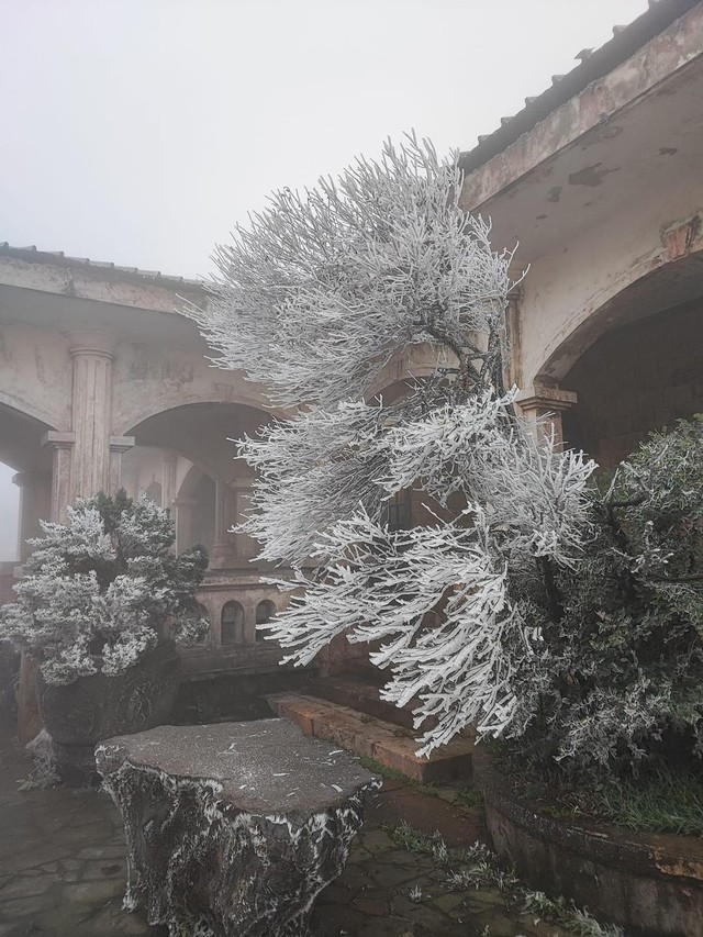 Nguyên nhân của đợt rét kỷ lục trong 8 năm qua, nhiều nơi có băng giá, mưa tuyết- Ảnh 2. Nguyên nhân của đợt rét kỷ lục trong 8 năm qua, nhiều nơi có băng giá, mưa tuyết- Ảnh 2.