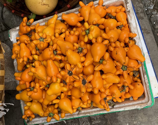Loại quả chưng Tết nghe tên đã thấy giàu sang, tiền xài không hết nhưng lại là kịch độc, chớ dại ăn- Ảnh 3.