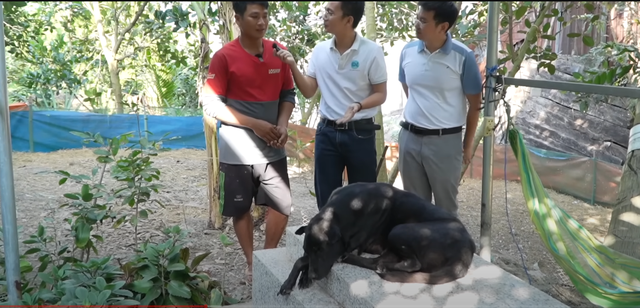 Người nước ngoài tò mò đến xem chú chó trung thành, nằm canh mộ chủ suốt 7 năm ở Long An- Ảnh 4.