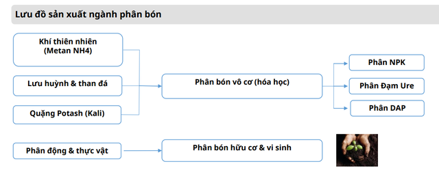 Một mặt hàng quan trọng trên thị trường sẽ tiếp tục tăng giá, Việt Nam có 1.000 doanh nghiệp sản xuất- Ảnh 3.