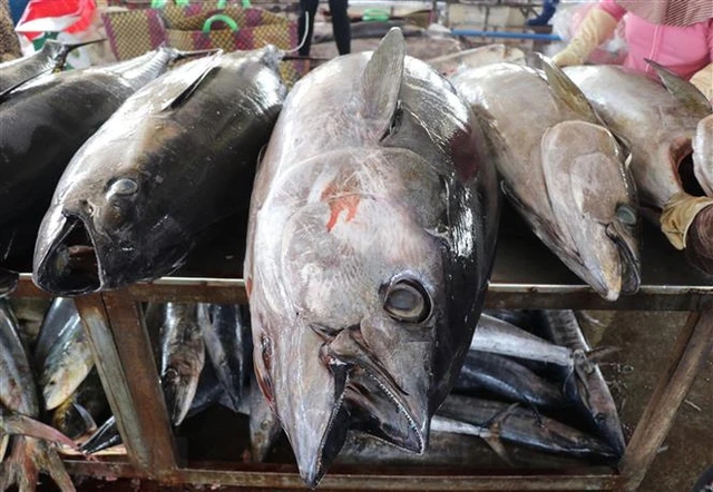 Mặt hàng hơn 800 triệu USD của Việt Nam khiến Mỹ, Nga “mê như điếu đổ”: Hơn 100 nước nhập về ăn- Ảnh 1.