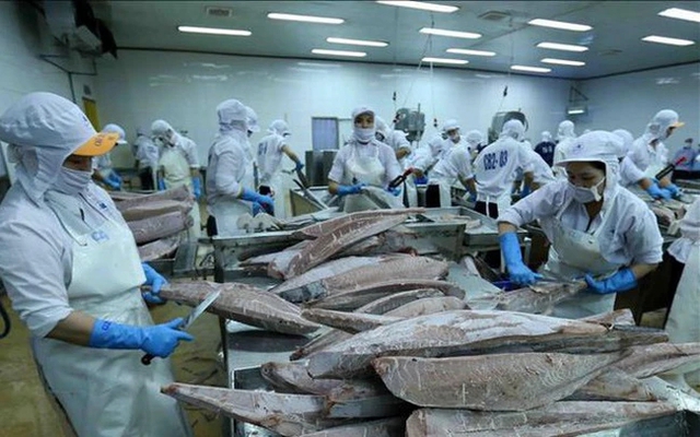 Mặt hàng hơn 800 triệu USD của Việt Nam khiến Mỹ, Nga “mê như điếu đổ”: Hơn 100 nước nhập về ăn- Ảnh 2. Mặt hàng hơn 800 triệu USD của Việt Nam khiến Mỹ, Nga “mê như điếu đổ”: Hơn 100 nước nhập về ăn- Ảnh 2.
