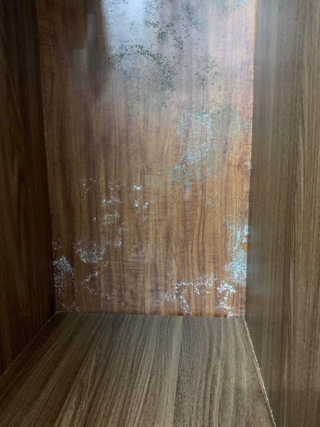 Gia chủ tá hỏa với cảnh tượng trong tủ quần áo ngày trời nồm: Rất nhiều gia đình cũng gặp phải- Ảnh 1. Gia chủ tá hỏa với cảnh tượng trong tủ quần áo ngày trời nồm: Rất nhiều gia đình cũng gặp phải- Ảnh 1.