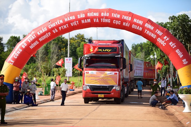 Ai sẽ thống trị thị trường sầu riêng Trung Quốc? Việt Nam và 2 nước ĐNÁ thách thức 'ngôi vương' Thái Lan- Ảnh 3. Ai sẽ thống trị thị trường sầu riêng Trung Quốc? Việt Nam và 2 nước ĐNÁ thách thức 'ngôi vương' Thái Lan- Ảnh 3.