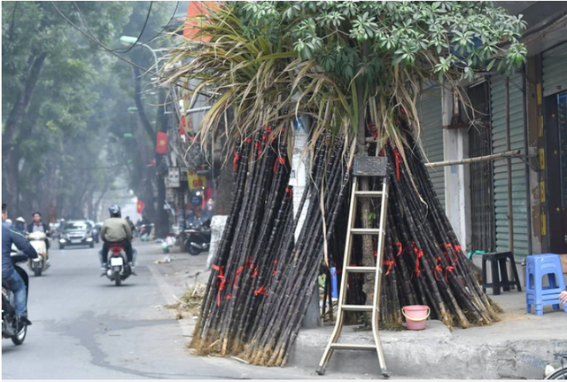 Tưởng dễ mà khó trả lời ngay: Vì sao có nơi cúng cây mía? Cây mía có làm cây nêu ngày Tết không?- Ảnh 1.