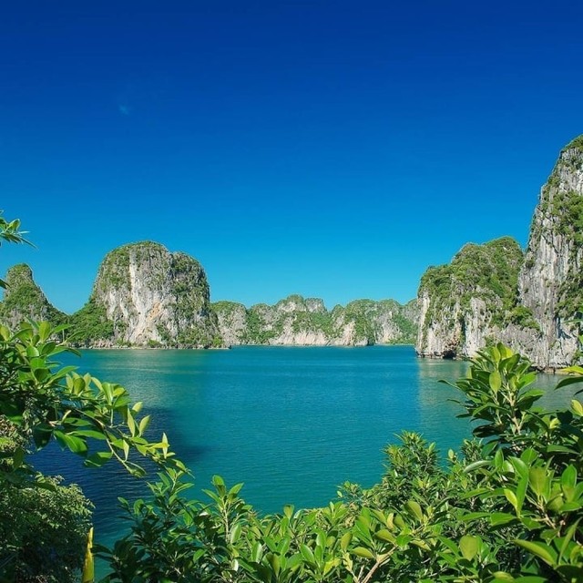Hòn đảo hình 
