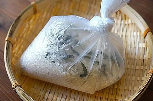 Thời tiết nồm ẩm, gạo dễ sinh độc: Bỏ vào hũ gạo 1 nắm Thời tiết nồm ẩm, gạo dễ sinh độc: Bỏ vào hũ gạo 1 nắm