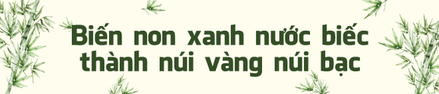 Sở hữu rừng tre dân làng đột nhiên có hơn 1.000 tỷ đồng mỗi năm: Bí quyết nằm ở cách làm đặc biệt- Ảnh 3. Sở hữu rừng tre dân làng đột nhiên có hơn 1.000 tỷ đồng mỗi năm: Bí quyết nằm ở cách làm đặc biệt- Ảnh 3.