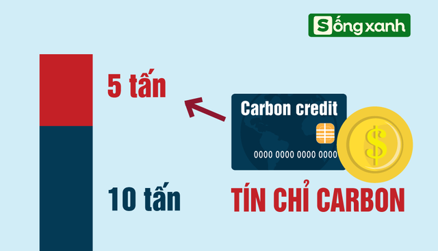 Sở hữu rừng tre dân làng đột nhiên có hơn 1.000 tỷ đồng mỗi năm: Bí quyết nằm ở cách làm đặc biệt- Ảnh 4.
