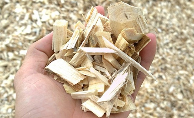 Chỉ bán Chỉ bán