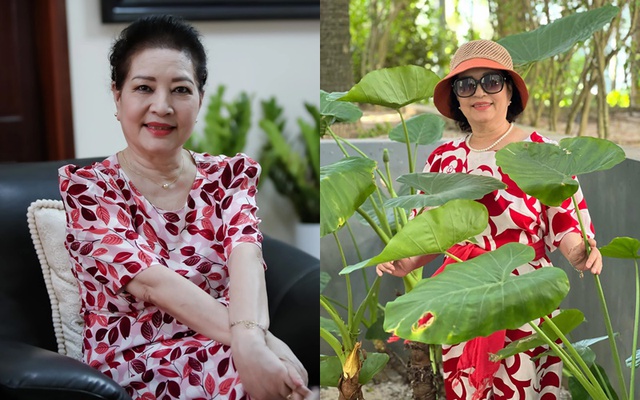 NSƯT là 