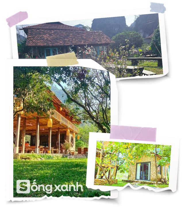 Người phụ nữ bê đá xây nhà giữa thung lũng, sống thuận tự nhiên, thu 2 tấn hồng/năm nhưng không bán- Ảnh 2. Người phụ nữ bê đá xây nhà giữa thung lũng, sống thuận tự nhiên, thu 2 tấn hồng/năm nhưng không bán- Ảnh 2.