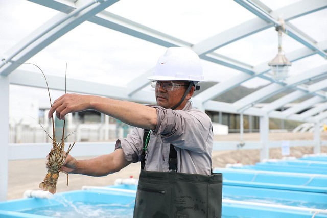 Hạn chế nhập khẩu “siêu thực phẩm” cho nhà giàu, Trung Quốc làm dự án chưa từng có, sản lượng 50 tấn/năm- Ảnh 1.