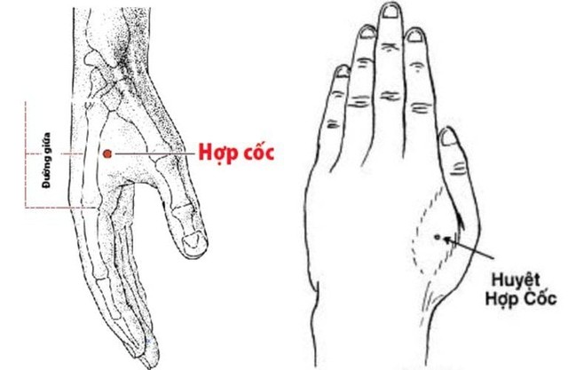 4 'siêu huyệt' nên xoa ấn hàng ngày để xua tan bách bệnh, nâng cao sức khỏe- Ảnh 1. 4 'siêu huyệt' nên xoa ấn hàng ngày để xua tan bách bệnh, nâng cao sức khỏe- Ảnh 1.