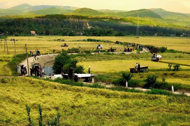 Vùng đất 