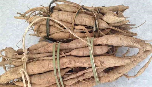 Vị thuốc giống 