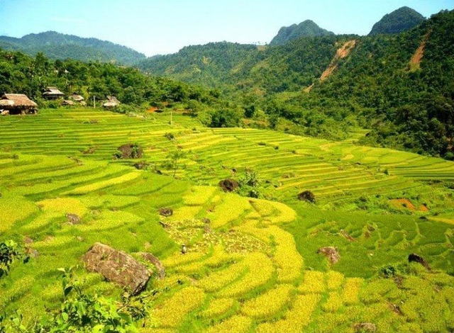 Phát hiện hang động hoang sơ với những khối núi đá vôi hàng trăm triệu tuổi, cách Hà Nội chỉ hơn 200km- Ảnh 7.