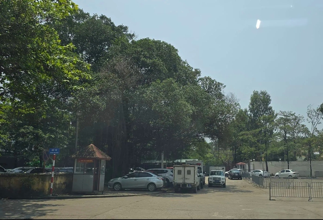 Tin mới nhất vụ sát hại Á khôi 17 tuổi, phân xác phi tang xuống sông Hồng- Ảnh 1. Tin mới nhất vụ sát hại Á khôi 17 tuổi, phân xác phi tang xuống sông Hồng- Ảnh 1.