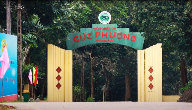 Nơi phát hiện có hàng triệu cánh bướm như truyện cổ tích, thì ra là điểm quen thuộc, cách Hà Nội hơn 100km- Ảnh 8. Nơi phát hiện có hàng triệu cánh bướm như truyện cổ tích, thì ra là điểm quen thuộc, cách Hà Nội hơn 100km- Ảnh 8.