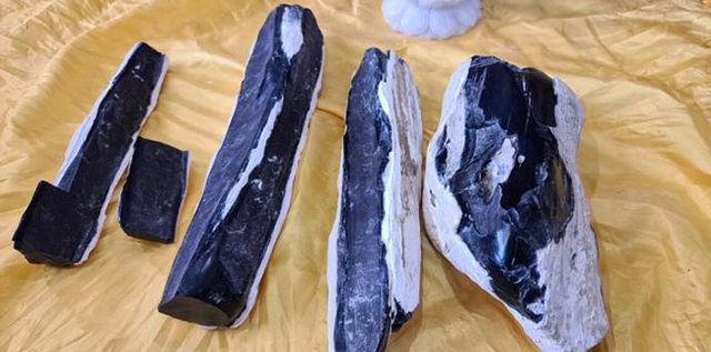 Loại gỗ triệu cây mới có một ở Việt Nam: Đại gia Nhật, Trung dốc cả hầu bao không mua nổi vì quá hiếm- Ảnh 3. Loại gỗ triệu cây mới có một ở Việt Nam: Đại gia Nhật, Trung dốc cả hầu bao không mua nổi vì quá hiếm- Ảnh 3.