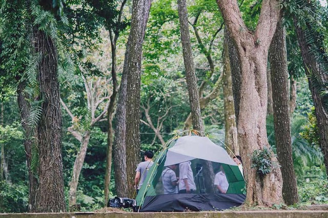 Nơi phát hiện có hàng triệu cánh bướm như truyện cổ tích, thì ra là điểm quen thuộc, cách Hà Nội hơn 100km- Ảnh 10. Nơi phát hiện có hàng triệu cánh bướm như truyện cổ tích, thì ra là điểm quen thuộc, cách Hà Nội hơn 100km- Ảnh 10.