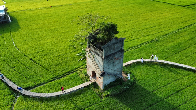 Phát hiện nơi bị bỏ hoang hơn 20 năm ở Hội An, giờ thu hút cực đông khách đến thăm, nằm giữa đồng lúa xanh- Ảnh 3. Phát hiện nơi bị bỏ hoang hơn 20 năm ở Hội An, giờ thu hút cực đông khách đến thăm, nằm giữa đồng lúa xanh- Ảnh 3.
