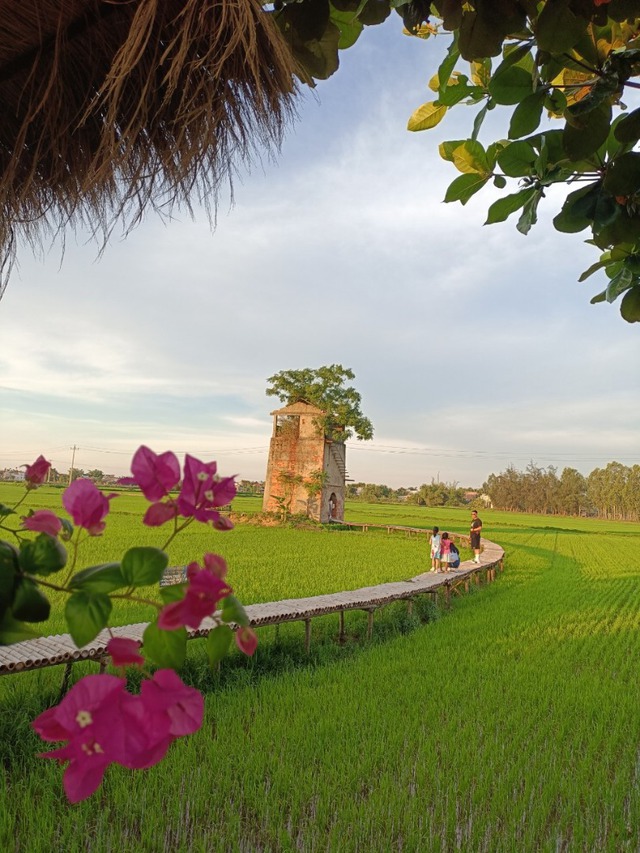 Phát hiện nơi bị bỏ hoang hơn 20 năm ở Hội An, giờ thu hút cực đông khách đến thăm, nằm giữa đồng lúa xanh- Ảnh 13. Phát hiện nơi bị bỏ hoang hơn 20 năm ở Hội An, giờ thu hút cực đông khách đến thăm, nằm giữa đồng lúa xanh- Ảnh 13.