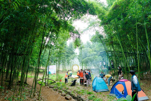 Phát hiện điểm đến xanh như trong phim kiếm hiệp, ngay ngoại thành Hà Nội, cách trung tâm chưa tới 50km- Ảnh 4. Phát hiện điểm đến xanh như trong phim kiếm hiệp, ngay ngoại thành Hà Nội, cách trung tâm chưa tới 50km- Ảnh 4.