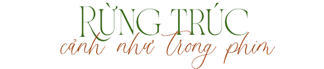 Phát hiện điểm đến xanh như trong phim kiếm hiệp, ngay ngoại thành Hà Nội, cách trung tâm chưa tới 50km- Ảnh 2. Phát hiện điểm đến xanh như trong phim kiếm hiệp, ngay ngoại thành Hà Nội, cách trung tâm chưa tới 50km- Ảnh 2.