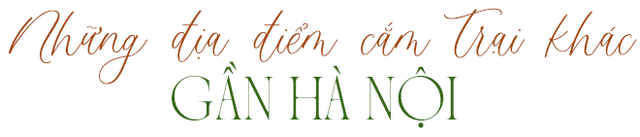 Phát hiện điểm đến xanh như trong phim kiếm hiệp, ngay ngoại thành Hà Nội, cách trung tâm chưa tới 50km- Ảnh 10. Phát hiện điểm đến xanh như trong phim kiếm hiệp, ngay ngoại thành Hà Nội, cách trung tâm chưa tới 50km- Ảnh 10.