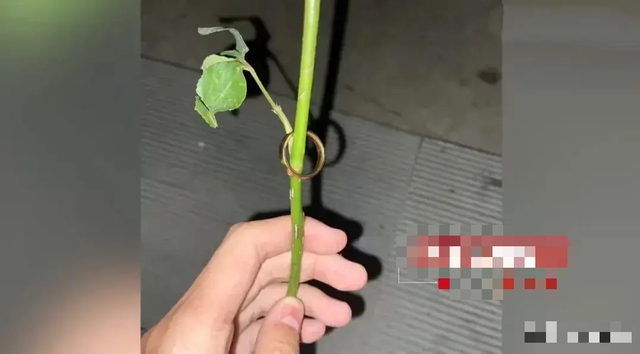 Nhặt được nhẫn vàng trong thùng rác, chàng trai bị 